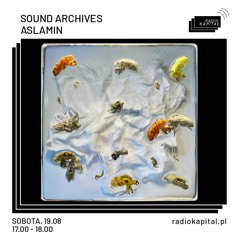 Sound Archives #3 – Aslamin