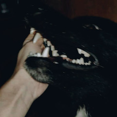 i have sex w corpses