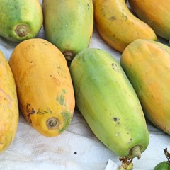 Papaya