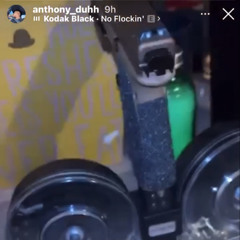 38 Special prod. gelatoo