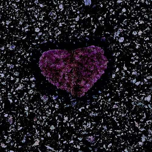 Check In |prod. Oson X Mitchxy |
