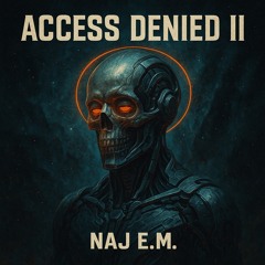 Access Denied II (ongoing project)