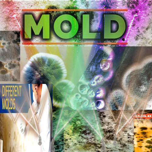 moldfest set (12/jul/24)