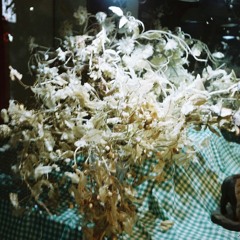 Brushup