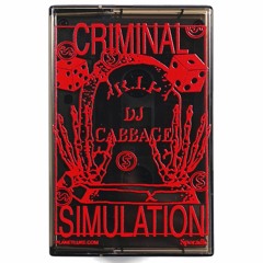 DJ CABBAGE - CRIMINAL SIMULATION VOLUME ONE