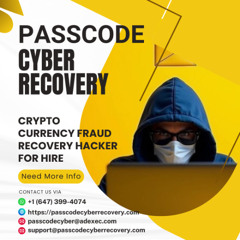 Fake Wallet App Scam review // PASSCODE CYBER RECOVERY