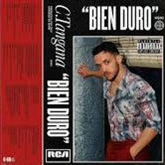 Bien Duro - C. Tangana (Techno Remix By Polteixido_music)