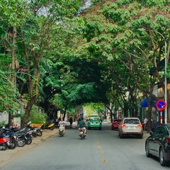 Em và Trịnh (Teaser Trailer Music) // Trần Hữu Tuấn Bách