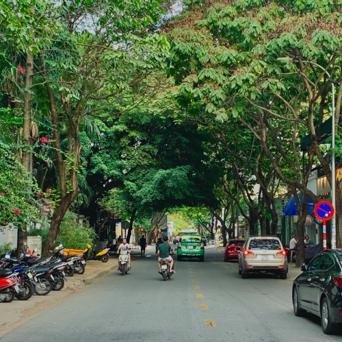 Em và Trịnh (Teaser Trailer Music) // Trần Hữu Tuấn Bách