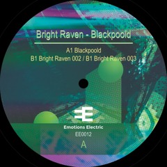 Bright Raven: Blackpoold - Emotions Electric (EE0012) 12"
