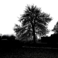 ₦̷̩̖̋ ̴̢̕Ɇ̴̜̅̓ͅ ̶̪̆V̴̪̿ ̴̻̝͋͋Ɏ̶̭̮̄ ̴̘͑₦̷̜͛ ̸̺͠Ø̷̼̠̐̕ ̷̥͍̍₴̶̡̓̌ ̶̦͆͒ł̴͇͂ ̴̟̜̈́͑₥̶̻̺̅ ̴͕̀͊Ø̵̝̗̍̏