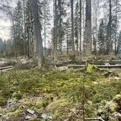 SOUND BASS - Tańcowała Ryba z Rakiem ('4Fun' Mix)