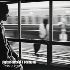 DigitalSamurai & Barmuda - Train To Paris