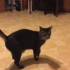 Ursula Aubin - I Have Called You By Name