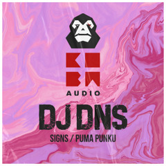 DJ DNS - Signs