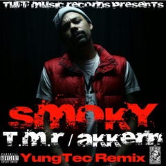 T.m.r / akkern (Remix)