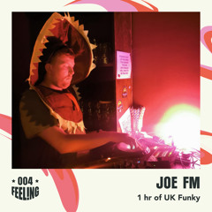 Joe FM - 1 hr of UK Funky [FEEL004]