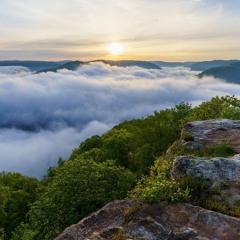 DJ Haston - Trance Session 14 (October 2022)