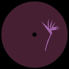 Premiere : Lumieux - Put It Out (PRP013)