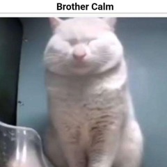 Brother Calm