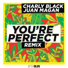 You're Perfect (Remix) [feat. Juan Magán]
