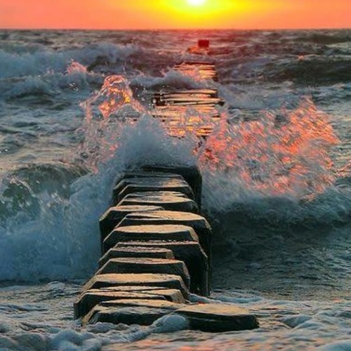 عيوب الحب - رضوي امام