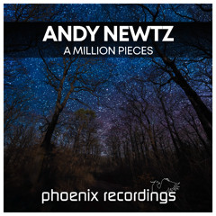Andy Newtz - A Million Pieces