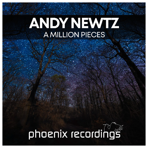 Andy Newtz - A Million Pieces