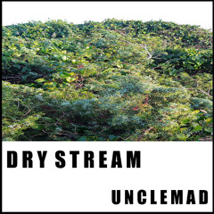 5 - Mechanical Birds - Album DRY STREAM
