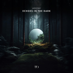 Echoes in The Dark