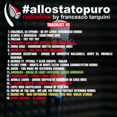 Allo Stato Puro 005