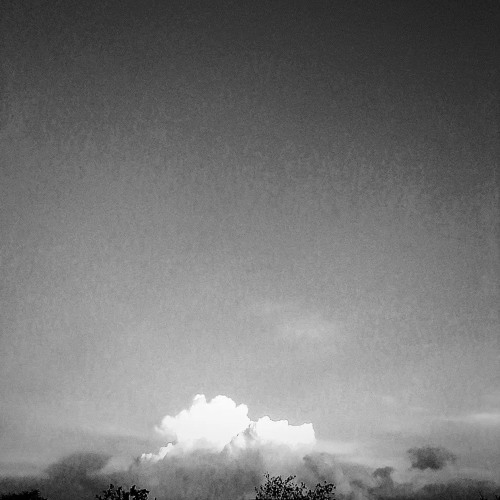 MONEY TREE$ (UNMIXED AND UNMASTERED) [PROD BY: OSVMA]