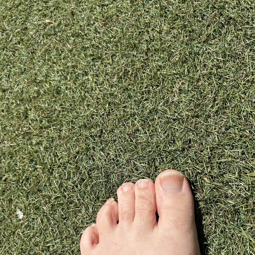 Synthetic turf