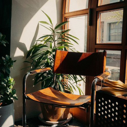 Casual_Business_Workspace_Dave_Curl