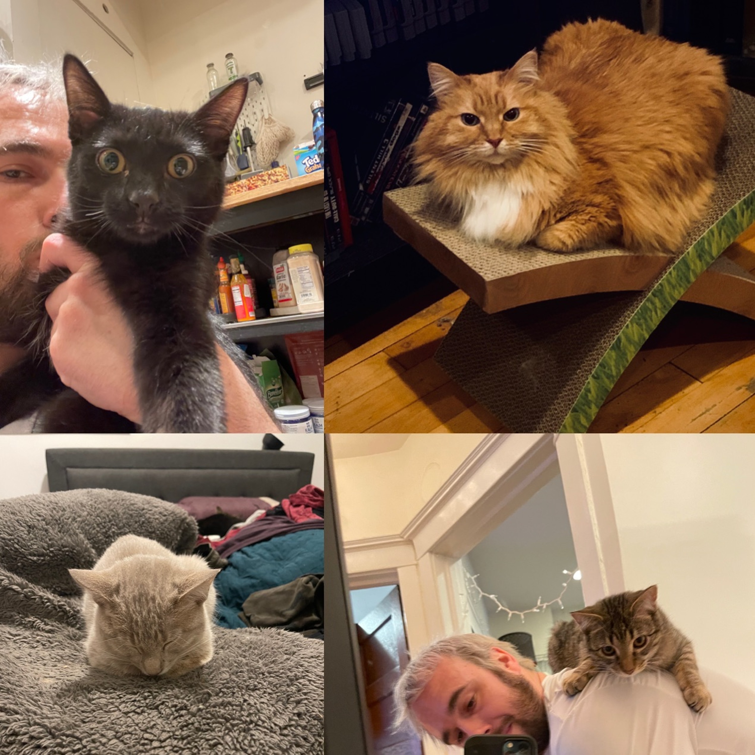 The Greatest Of All Time