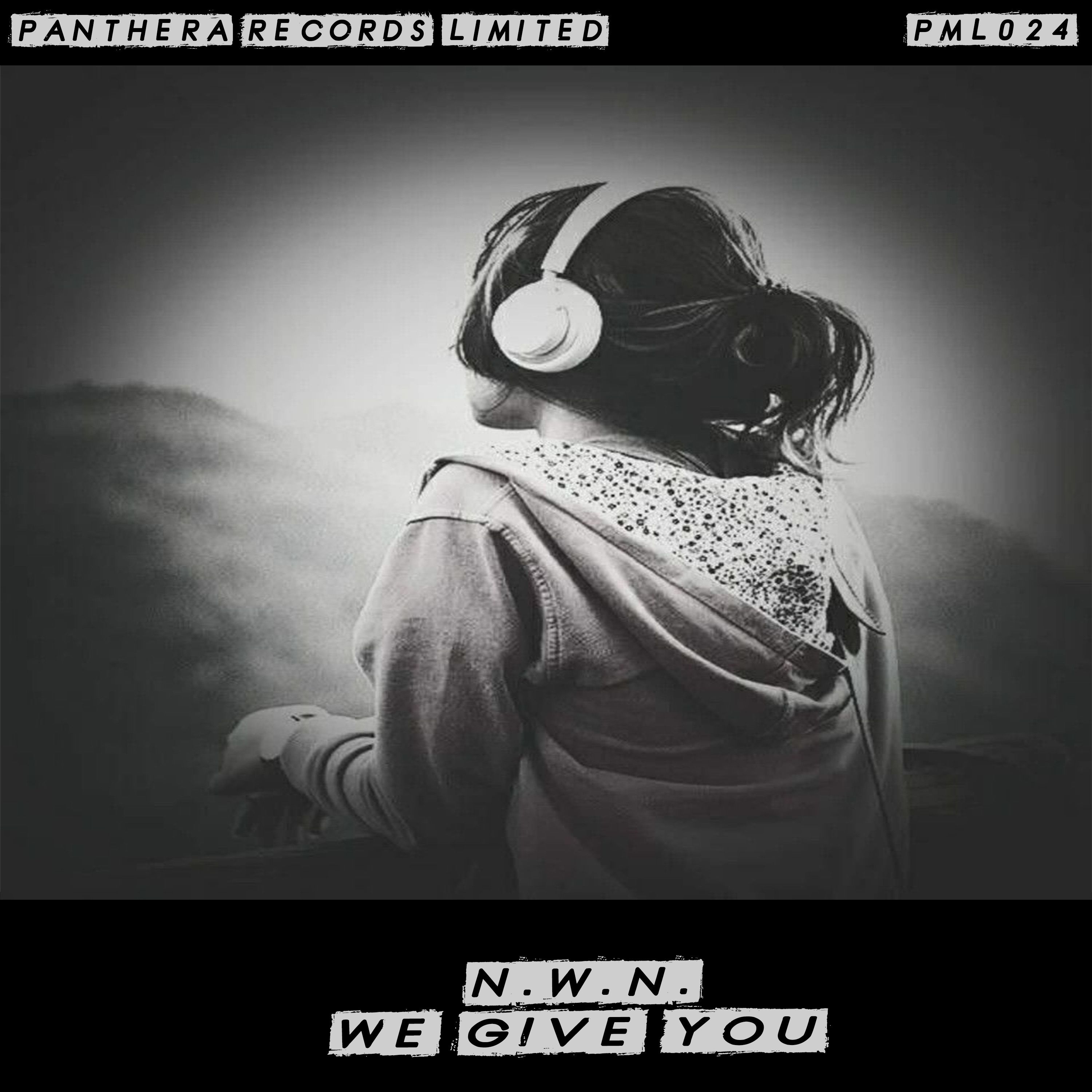 N.W.N. – We Give You (Original Mix)