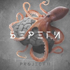 Project 11 - Береги