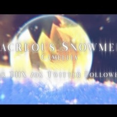 Camellia-Nacreous Snowmelt (70k Twitter Followers)
