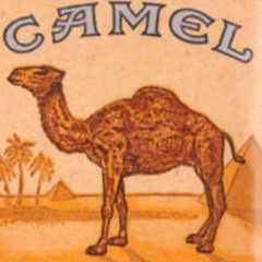 me and chat cookinme and chat_1