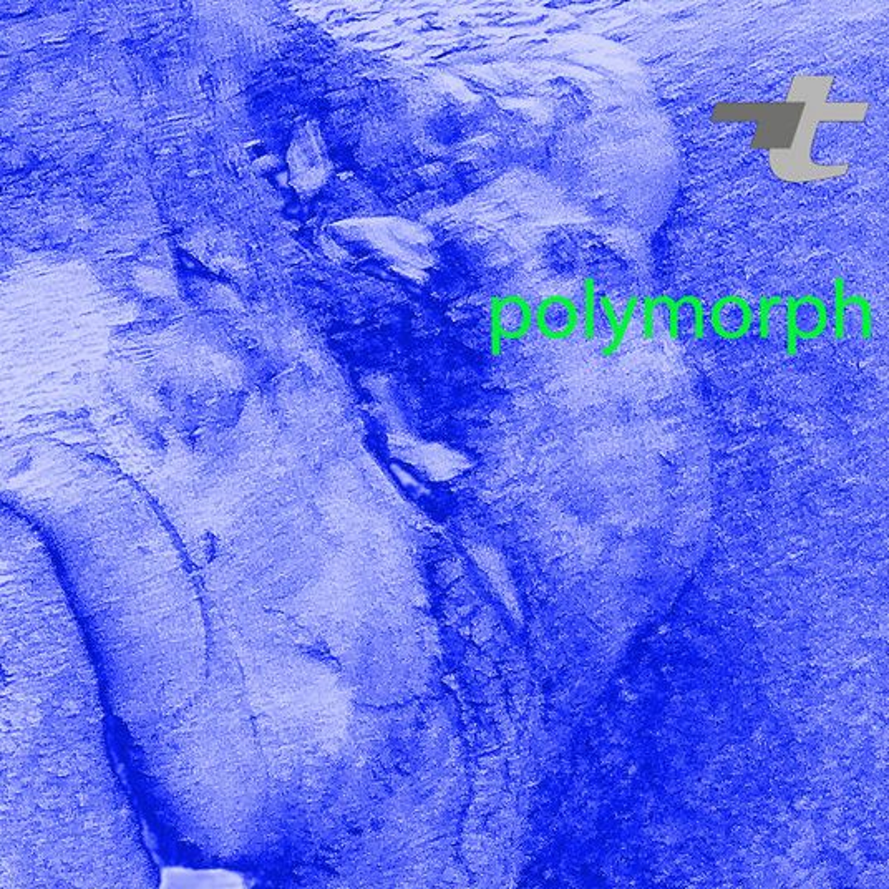 polymorph episode artwork