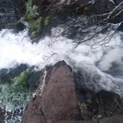 Disregard the Narrative (old version)