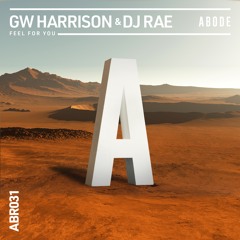 GW Harrison & DJ Rae - Feel For You