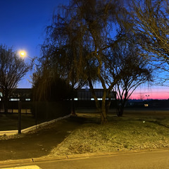 🚶🏽‍♂️‍➡️we resume