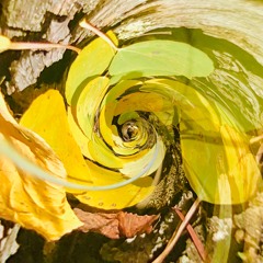 Pretty Lights X Souls of Mischief