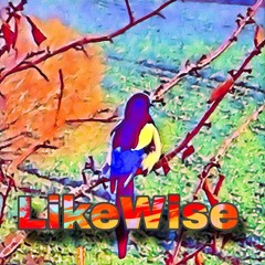LikeWise