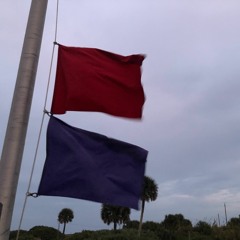 Flag in the wind