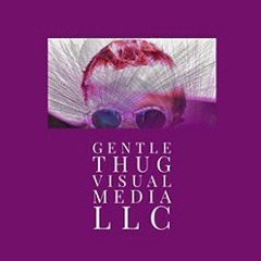 GentleThugVisual Media LLC (Humanizing Healthcare Through Patient Experience Videos)