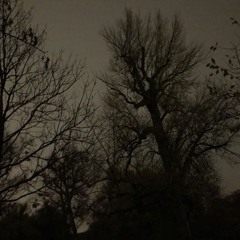 im having trouble quitting