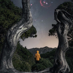 HET LOI - Rabbit ( TA )