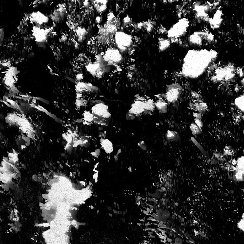 MNMT Premiere: CTAFAD - Chiaroscuro